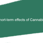Long-term Effect of Cannabis on Human-Ant Farm Delivery
