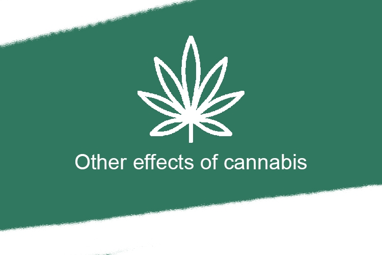 Other effects of cannabis 