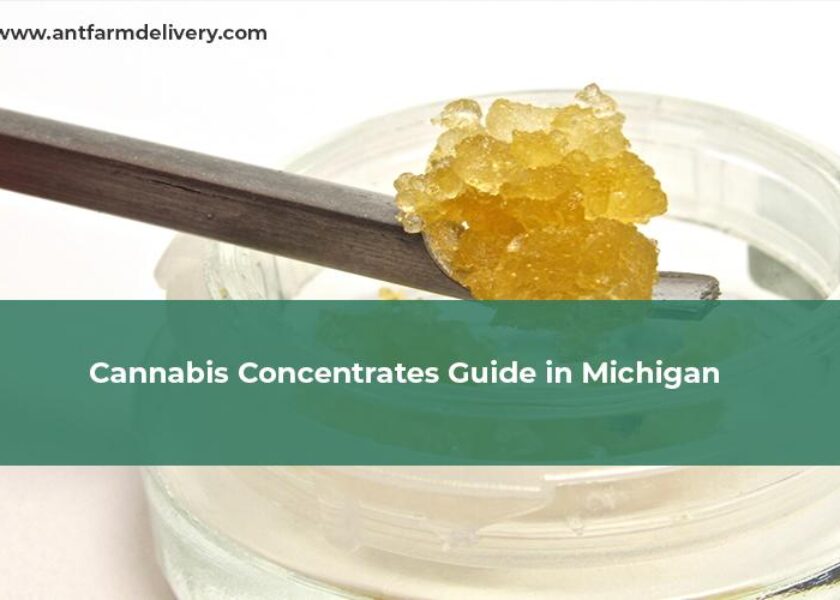 Cannabis Concentrates Guide in Michigan