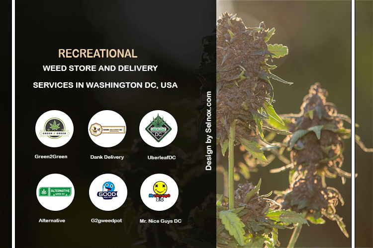 RECREATIONAL WEED STORE AND DELIVERY SERVICES IN WASHINGTON DC, USA