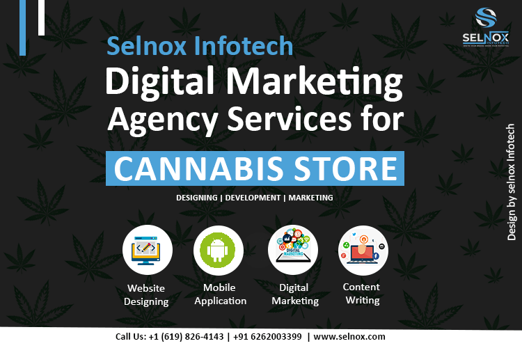 Selnox Infotech Digital Marketing Agency Services for Cannabis Store