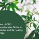 The Rise of CBD: A Comprehensive Guide to Cannabidiol and Its Healing Properties