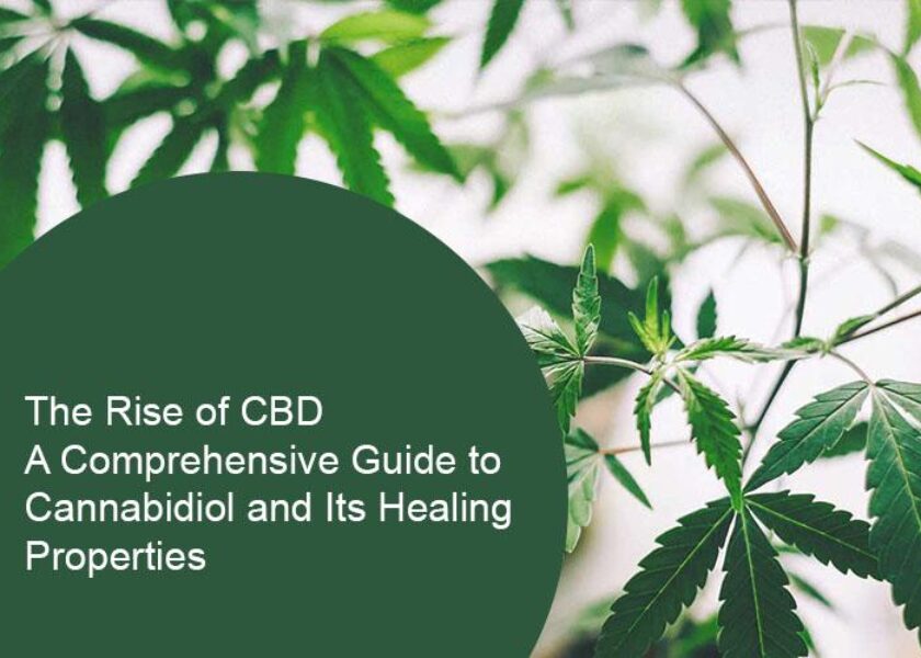 The Rise of CBD: A Comprehensive Guide to Cannabidiol and Its Healing Properties