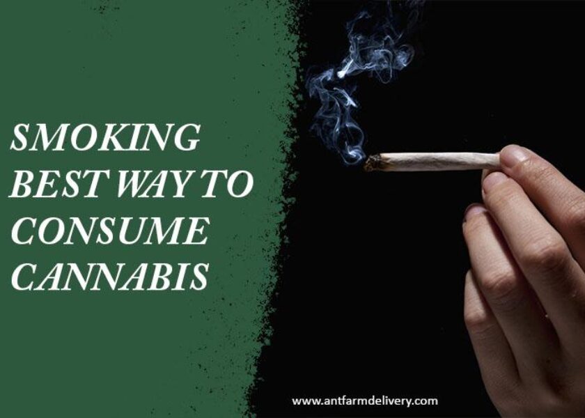 Famous Cannabis Consumption Methods in Michigan
