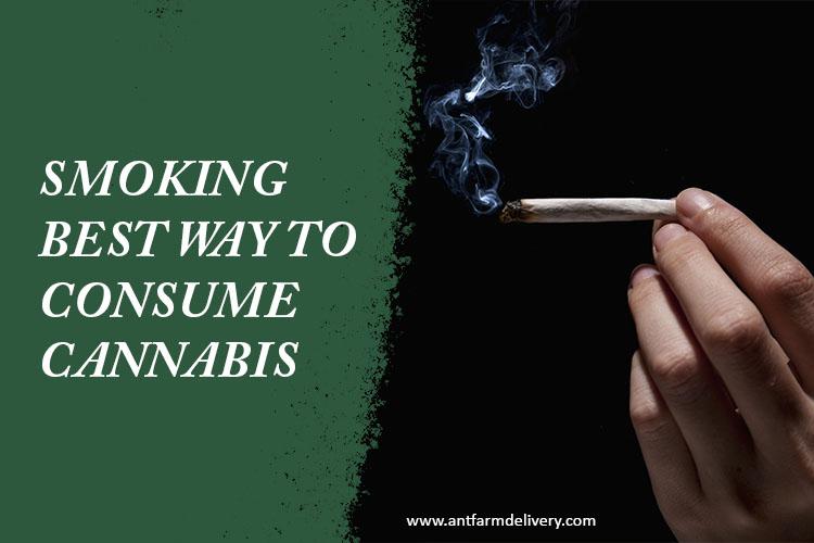 Smoking- Best Way to Consume Cannabis
