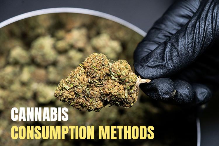 Cannabis Consumption Methods