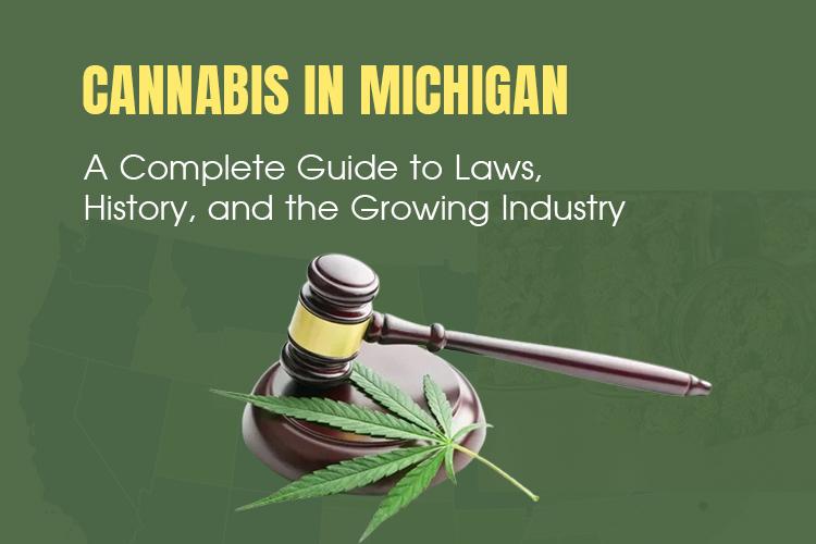 Cannabis in Michigan with Ant Farm Delivery