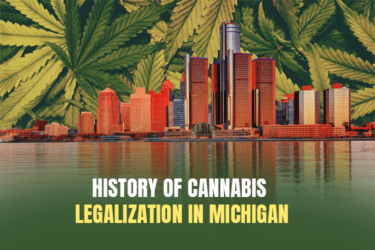  History of cannabis legalization in michigan